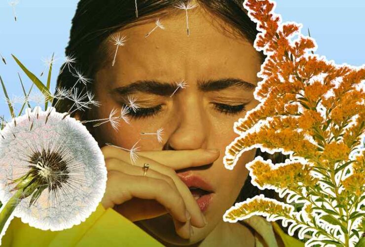 Pollen Count Hits High Levels in US State Due to Early Warm Spring. Credit | Shutterstock
